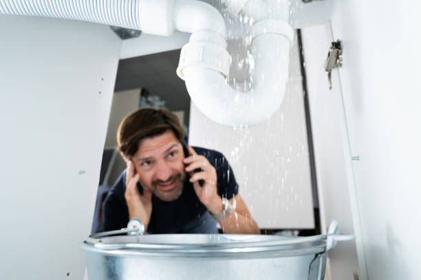 Best Sewer Line Repair  in Greeneville, TN