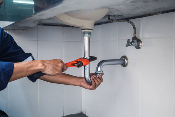 Best Plumbing Inspection Services  in Greeneville, TN
