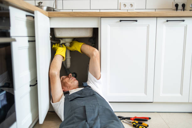 Best Clogged Drain Plumber  in Greeneville, TN